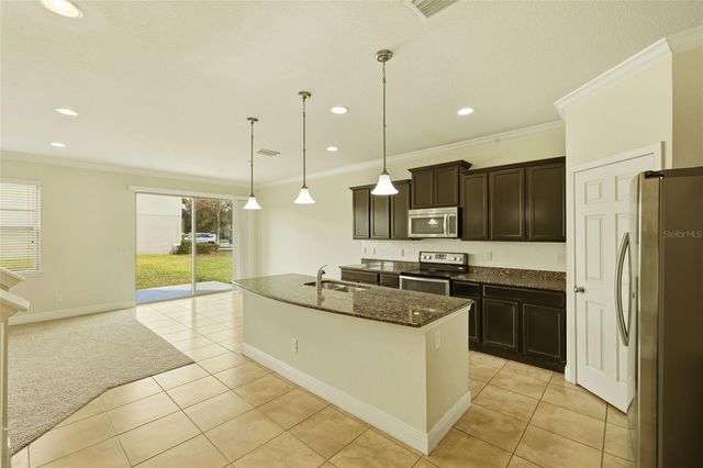 9118 MOUNTAIN MAGNOLIA DRIVE, Riverview, FL 33578