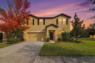 9118 MOUNTAIN MAGNOLIA DRIVE, Riverview, FL 33578