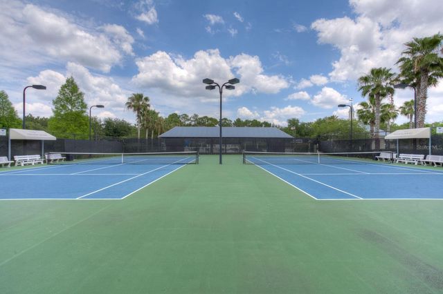 10232 WOODFORD BRIDGE STREET, Tampa, FL 33626