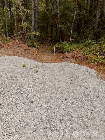 0 Chuckawa Lane SW, Yelm, WA 98597