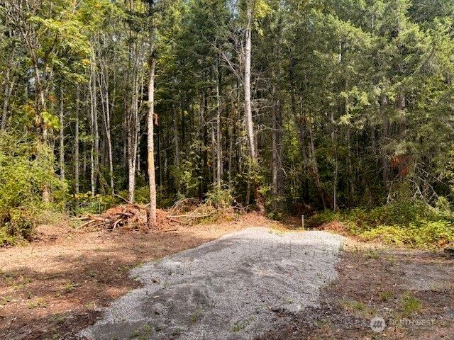 0 Chuckawa Lane SW, Yelm, WA 98597