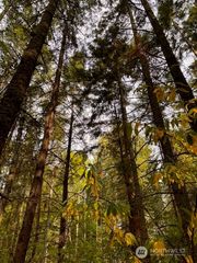 0 Chuckawa Lane SW, Yelm, WA 98597