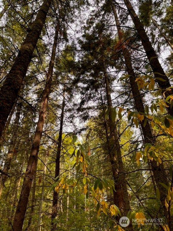 0 Chuckawa Lane SW, Yelm, WA 98597