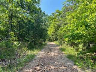 50.10 Acres off Madison 9519, Fredericktown, MO 63645