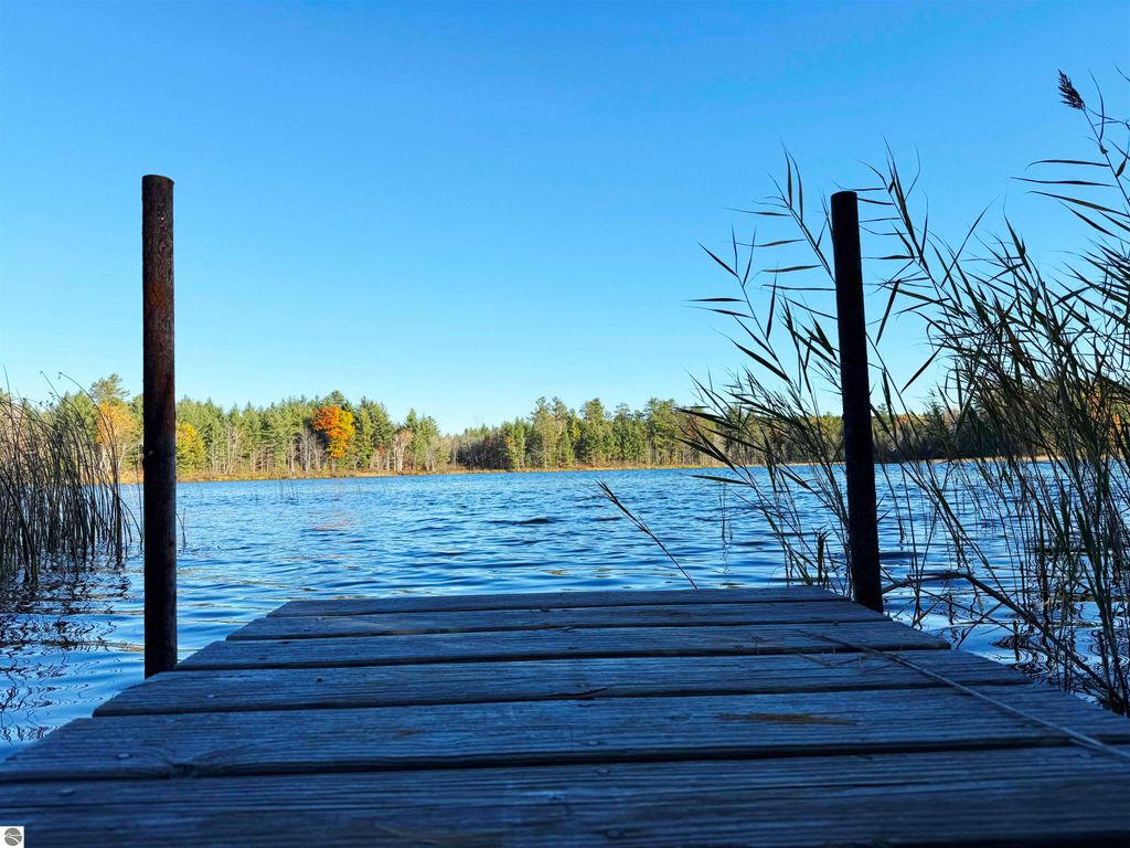 Dock leading to Pickerel Lake, surrounded by tall grasses and trees, showcasing a clear blue sky and tranquil water, ideal for building a dream home or getaway.