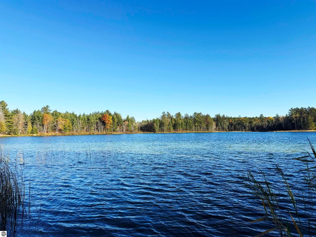 Scenic view of Pickerel Lake with clear blue water, surrounded by lush trees and autumn foliage, showcasing a tranquil waterfront setting ideal for building a dream home or getaway.