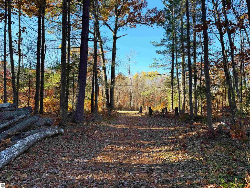 Pathway through autumn foliage leading to wooded area near Pickerel Lake, Kalkaska, MI, showcasing natural surroundings ideal for building a dream home or getaway.