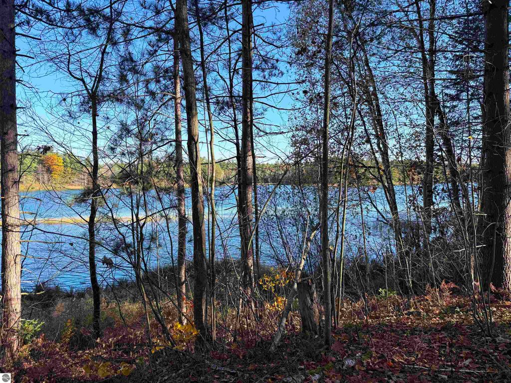Scenic view of Pickerel Lake through trees, showcasing waterfront access and natural surroundings, ideal for building a dream home or getaway.