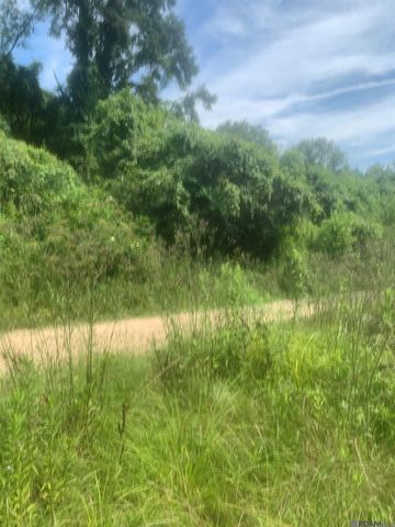 TBD Allen Brown Ln, Jackson, LA 70748