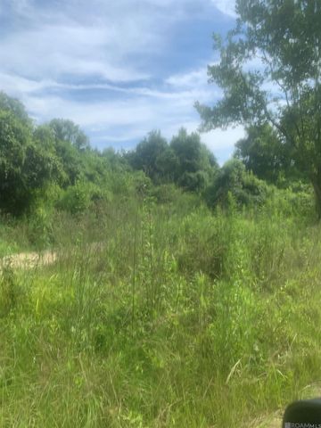 TBD Allen Brown Ln, Jackson, LA 70748