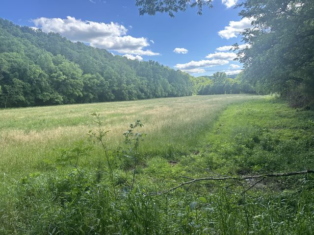 642 Club Springs Rd, Buffalo Valley, TN 38548