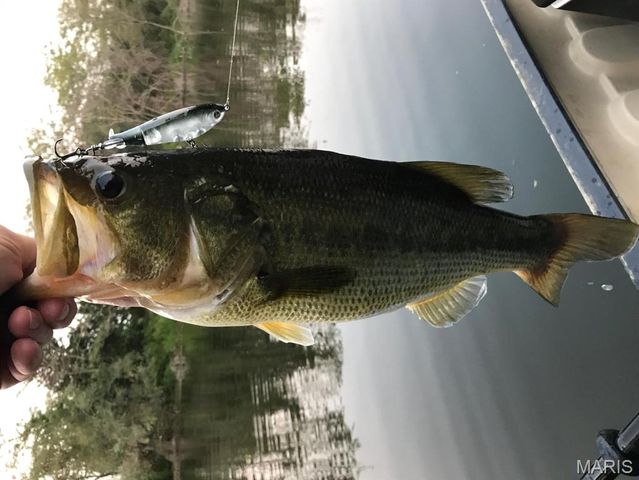 335 Westwood Drive, Houston, MO 65483