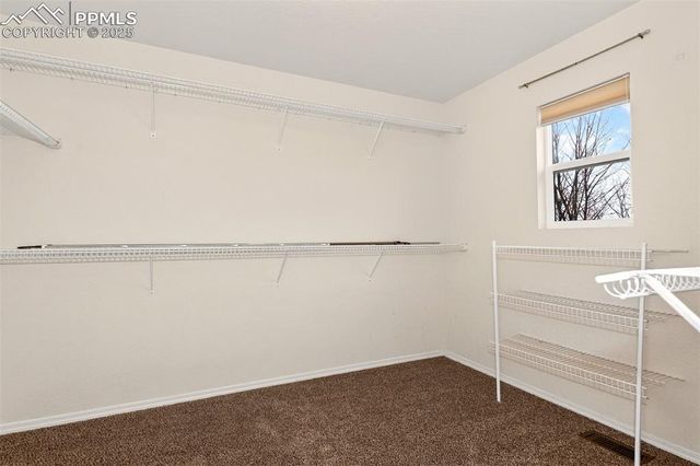 4901 Cherry Springs Drive, Colorado Springs, CO 80923