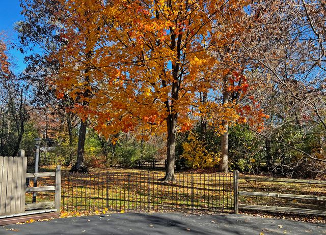 109 Crooked Creek Trail, Barrington, IL 60010