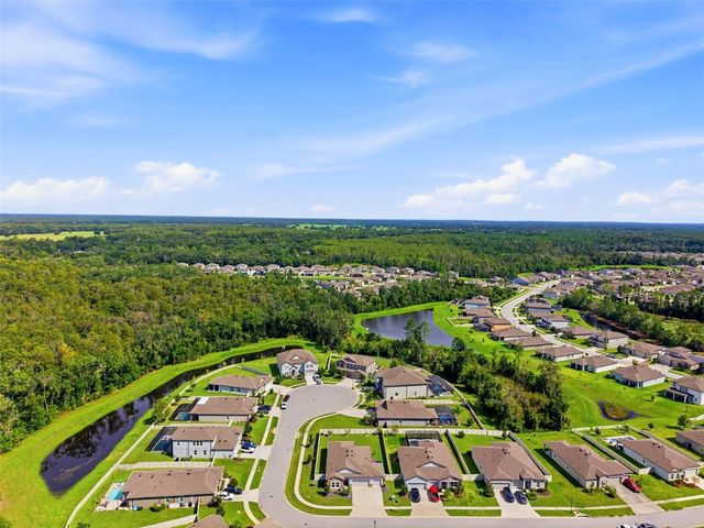 18117 ROMANESQUE COURT, Spring Hill, FL 34610