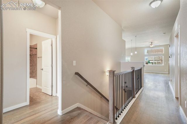 7296 Alpine Daisy Drive, Colorado Springs, CO 80925