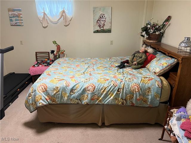 172 lake shore Drive 172, Struthers, OH 44471