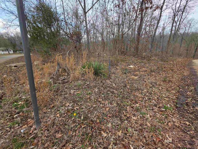 6 Lots S Summit Ridge Drive, Ozark Acres, AR 72482