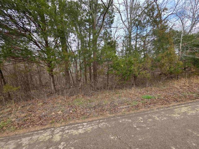 6 Lots S Summit Ridge Drive, Ozark Acres, AR 72482