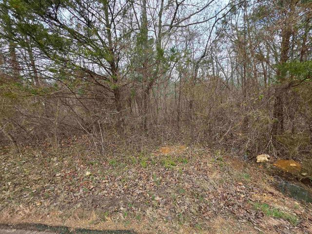 6 Lots S Summit Ridge Drive, Ozark Acres, AR 72482
