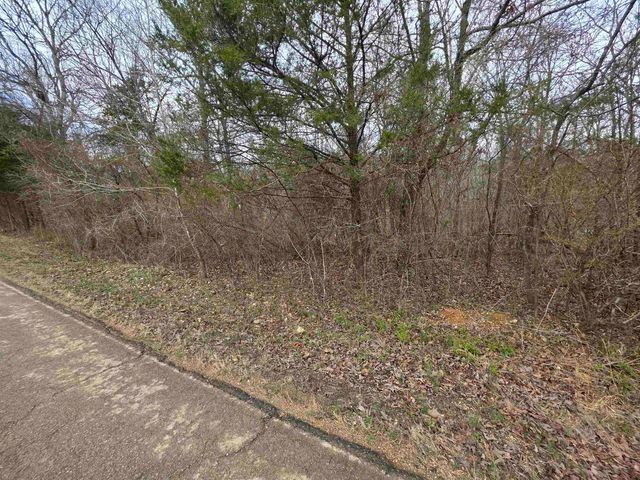 6 Lots S Summit Ridge Drive, Ozark Acres, AR 72482