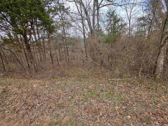 6 Lots S Summit Ridge Drive, Ozark Acres, AR 72482