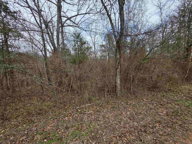 6 Lots S Summit Ridge Drive, Ozark Acres, AR 72482