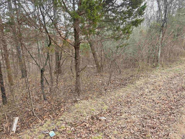 6 Lots S Summit Ridge Drive, Ozark Acres, AR 72482