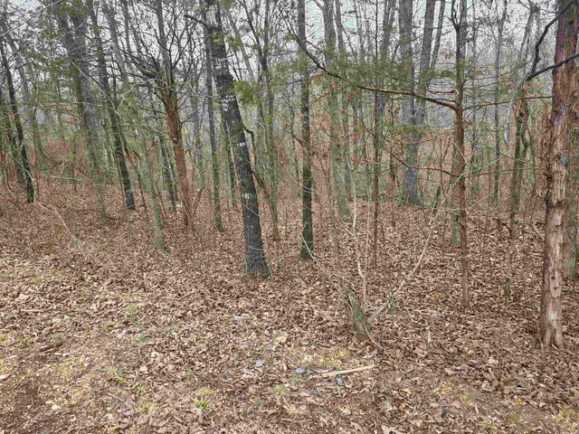 6 Lots S Summit Ridge Drive, Ozark Acres, AR 72482