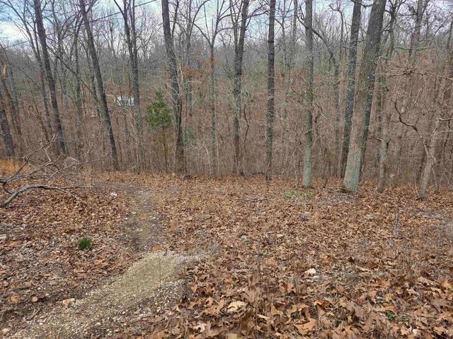 6 Lots S Summit Ridge Drive, Ozark Acres, AR 72482