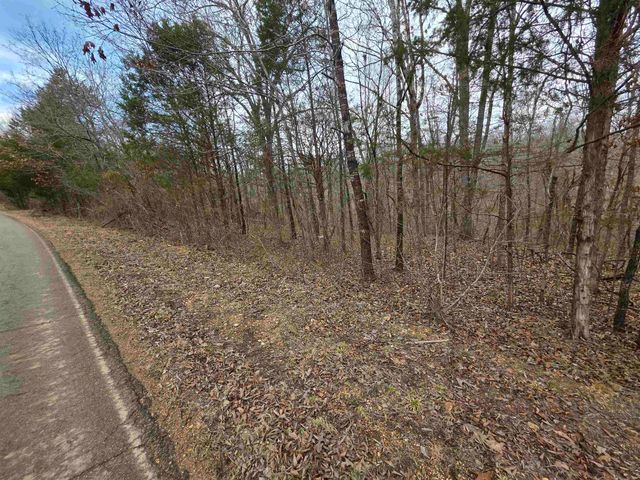6 Lots S Summit Ridge Drive, Ozark Acres, AR 72482