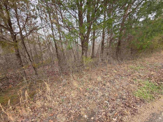 6 Lots S Summit Ridge Drive, Ozark Acres, AR 72482