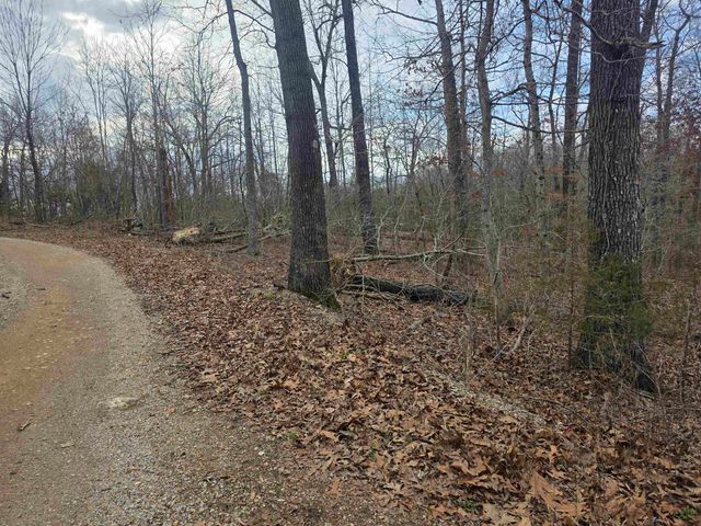 6 Lots S Summit Ridge Drive, Ozark Acres, AR 72482