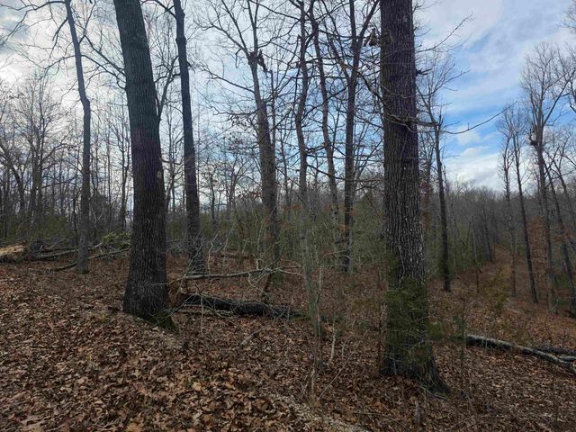 6 Lots S Summit Ridge Drive, Ozark Acres, AR 72482