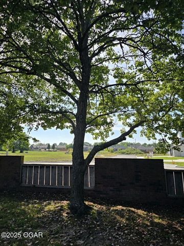 909 Durward Hall Dr. Drive, Carthage, MO 64836