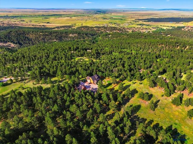 5417 STONE TREE CT, Piedmont, SD 57769