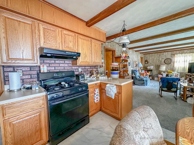 8827 W Elbow Drive, Irons, MI 49644