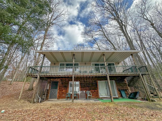 8827 W Elbow Drive, Irons, MI 49644