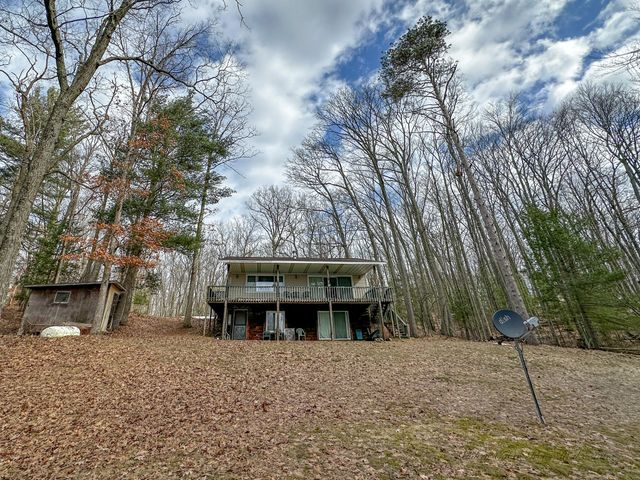 8827 W Elbow Drive, Irons, MI 49644