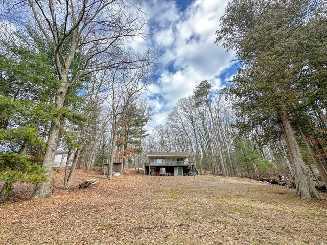 8827 W Elbow Drive, Irons, MI 49644