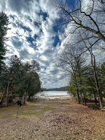 8827 W Elbow Drive, Irons, MI 49644