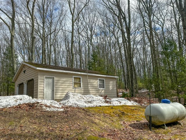 8827 W Elbow Drive, Irons, MI 49644