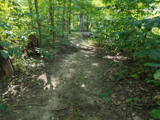 8040 W Martin Road, Three Oaks, MI 49128