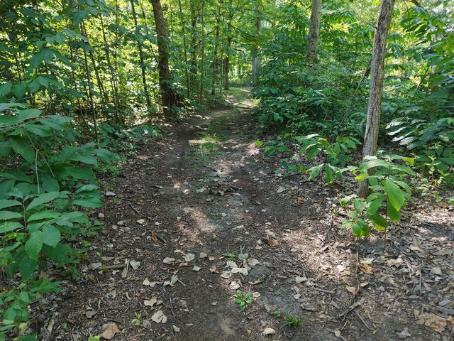 8040 W Martin Road, Three Oaks, MI 49128
