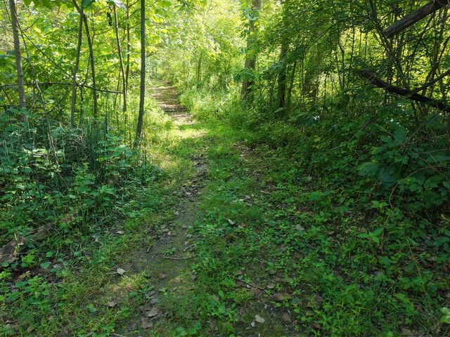 8040 W Martin Road, Three Oaks, MI 49128