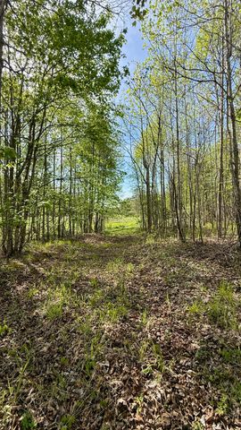 0 Owl Hollow Road 2, Palmer, TN 37365