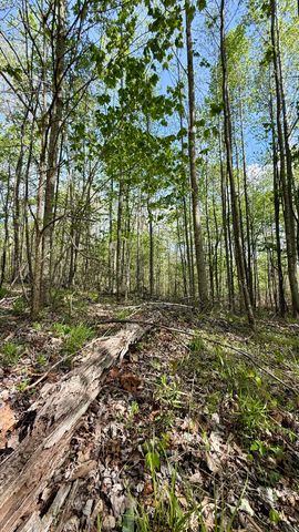 0 Owl Hollow Road 2, Palmer, TN 37365