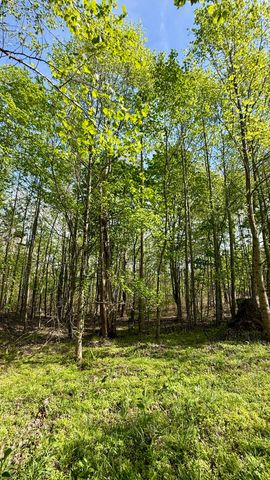0 Owl Hollow Road 2, Palmer, TN 37365