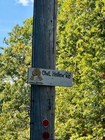 0 Owl Hollow Road 2, Palmer, TN 37365