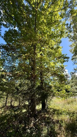 0 Owl Hollow Road 2, Palmer, TN 37365